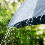 rain