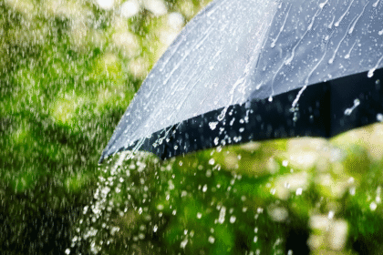 rain
