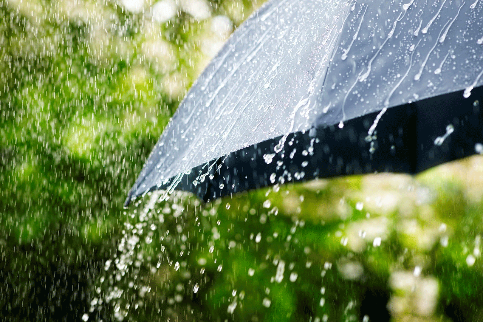 rain