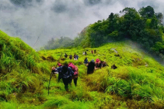 kakkadampoyil
