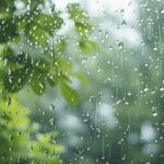 rain