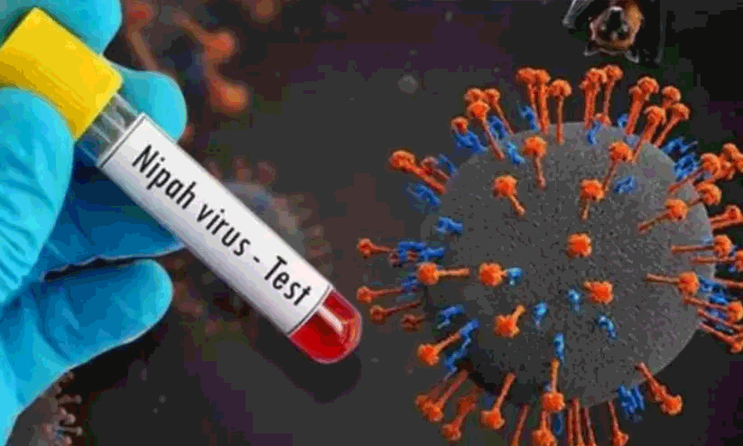Nipah virus Kozhikode