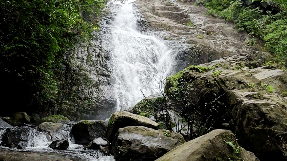 സഞ്ചാരികൾക്ക് വിലക്ക്